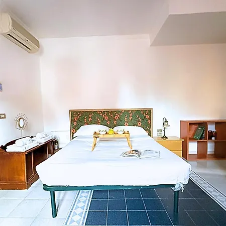 Calanchoe Creativity And Comfort * Rome